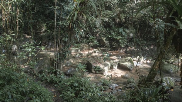 馬胎古道 （馬胎一期、南坪古道、內灣老街）3073802