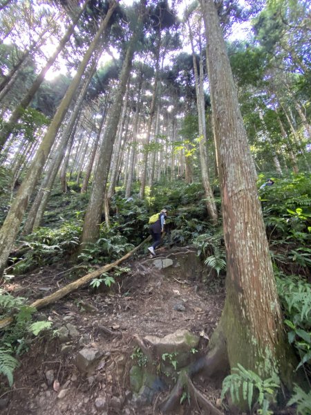 20250713-Ep.09油羅山步道-2025森遊竹縣皮皮獅探險隊2851878