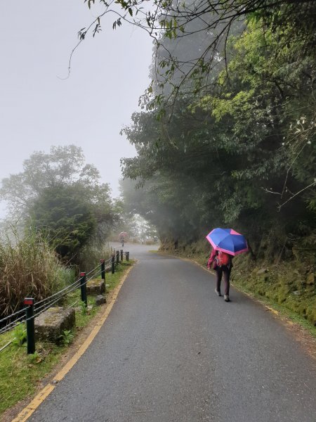 20190413塔塔加麟趾山賞花567806