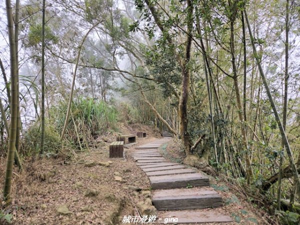 【嘉義梅山】雲嘉五連峰縱走3022304