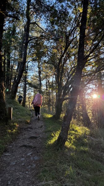 中央尖山 2025 11/7 三天兩夜2935751