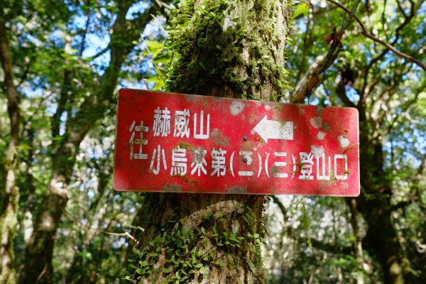 桃園復興區 處暑‧北插天山岩戶線2868417