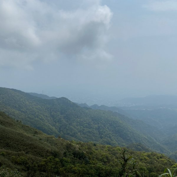 步道巡訪員 l 聖母山莊登山步道三月份巡訪895298