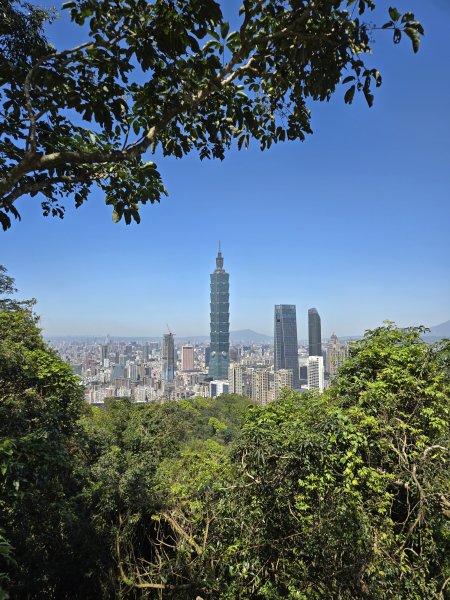 南港山2872519