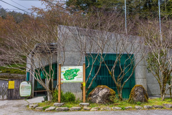 南二段撤退行2743234