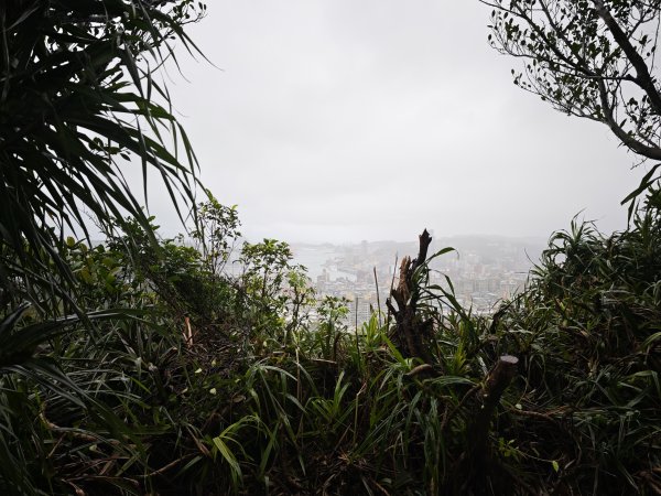 2026_0131 獅球嶺西砲台2997818