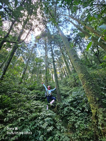 20260104源茂山.源茂山西峰.和尚髻山O走+親水觀魚步道2977696