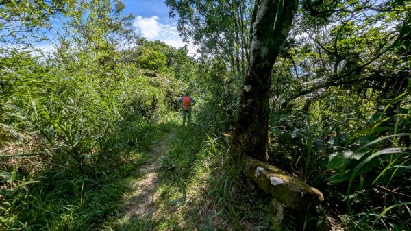 114.06.28內平林山-番子坑山-平湖森林遊樂區之O型2824243