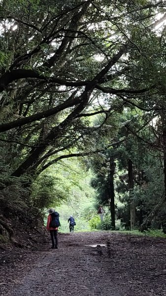 2024/5/10～12 大霸尖山群峰2510495