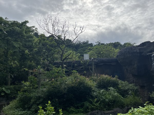 [臺北健康大穀東-06/34] 2023_0909_臺北市立動物園2280519