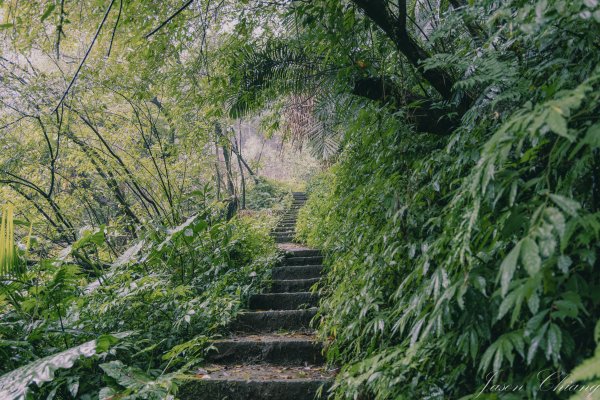 [新北]二格山2730199