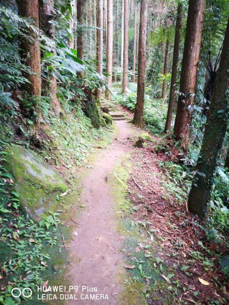 迷糊步道+福山古道148029