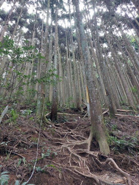 民都有山張學良故居202207091799089