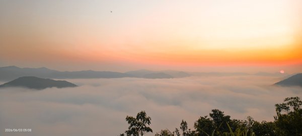 #坪林 #火燒雲 #日出 #雲海 #觀音圈 #金山 #花鳥蝶 6/3&4&163068884