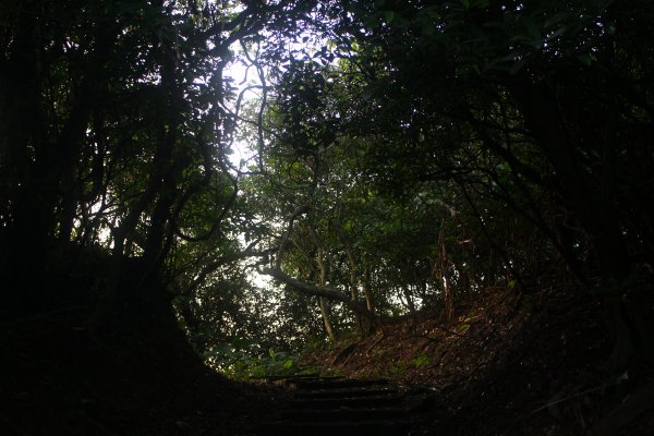 基隆．中正公園支線 中砂登山步道2023/02/122042417