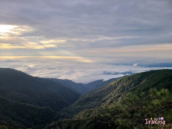 鳶嘴山- 最美中級山2337187