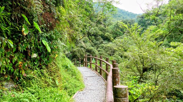 九寮溪自然步道2826887