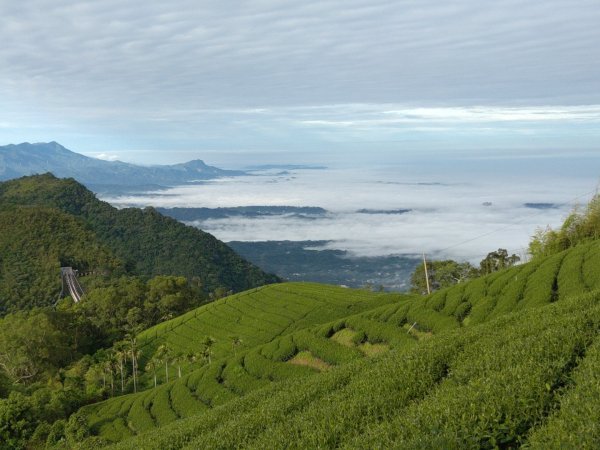 嘉義梅山太平，雲嘉五連峰封面