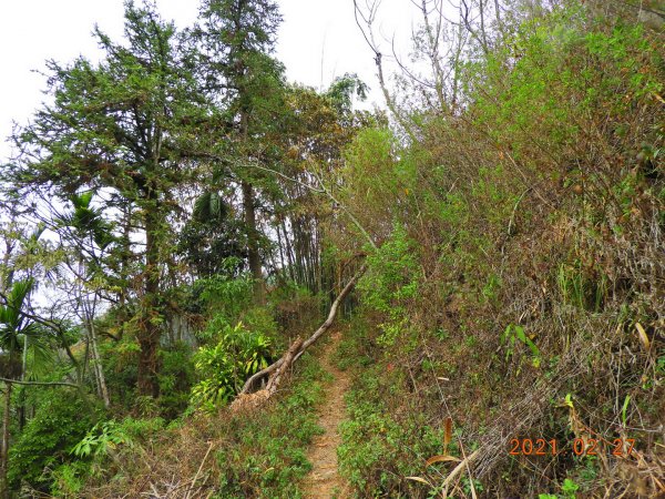 南投 埔里 舊武界越山、板仔寮山1286579