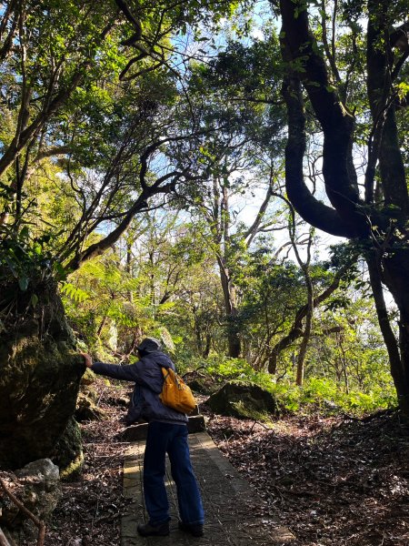 幸福五感森林癒2694309