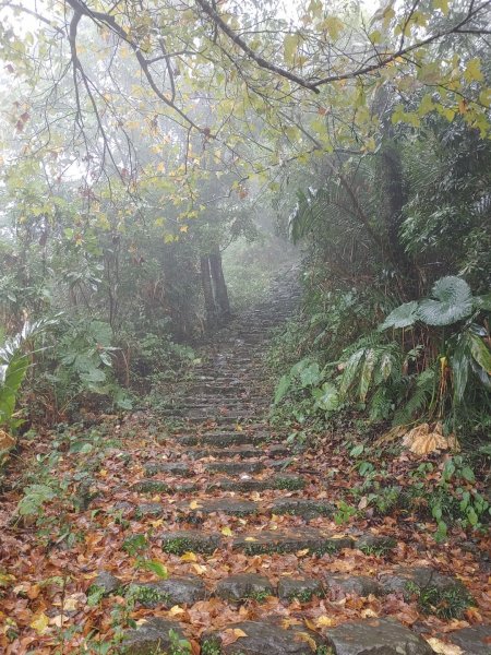 1081229第三座小百岳~獨立山#58791255