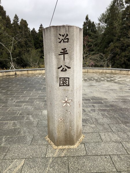 阿里山國家森林遊樂區，大塔山一日輕鬆遊1615599