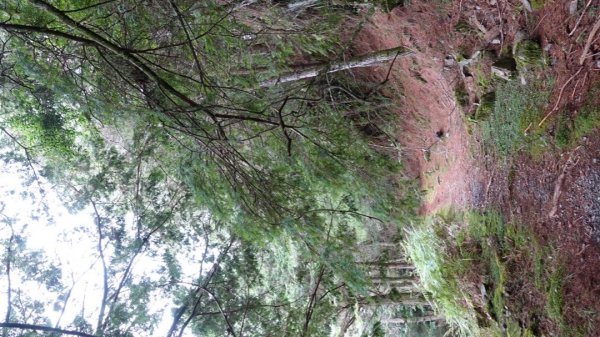 雙龍林道上巒安堂西巒大山1778607
