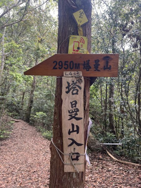 ~  塔  曼  山  ~2782765