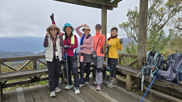 2025貓空杏花林杏花大爆發，粉紅、深紅及白色杏花爭奇鬥艷，從公車站步行20分鐘即抵達2720170