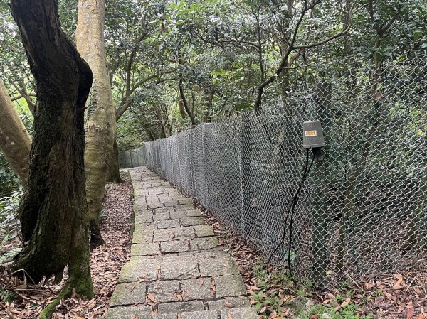 [跟著2025雙北世壯運探索雙北市-6/21] 2025_0614 文化排擊徑（文化大學－天母古道）2814413