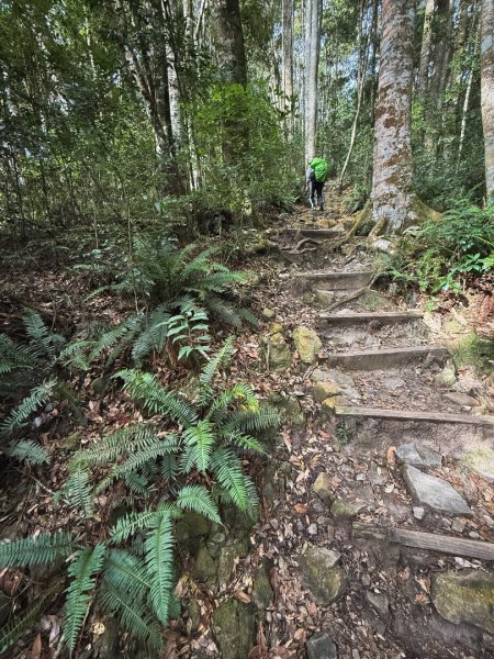 鳶嘴山上的瘦稜2983860