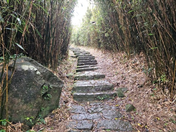 2025臺北大縱走第二段：二子坪至小油坑2973503