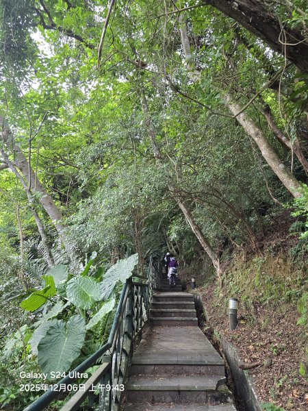 2025-12-06微笑山線：【二格山系】和美山螢火蟲段2956814
