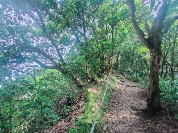 天上山、三粒半山與火焰山1663000