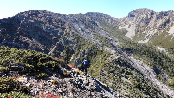 雪山黑森林直上甘木林山登雪主雪南過志佳陽下馬武霸兩日C型2758163