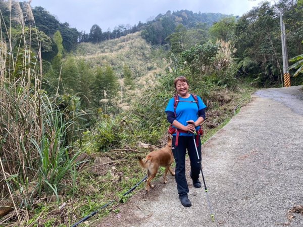 鵝公髻山（小百岳）鵝公髻山東北峰2449873