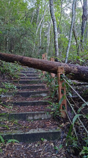 秀巒登虎禮山2582435