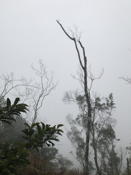 上坪山經五指山由大隘山下觀音寺1291213