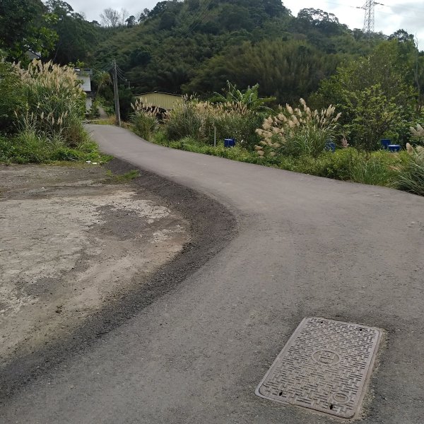 山塘背登山步道-竹林秘境1606063