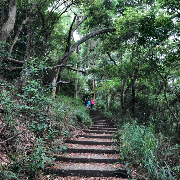 台灣小百岳No.048 橫山1102108