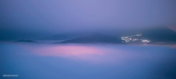 #翡翠水庫 #鱷魚島  #藍腹鷴 4/232768282