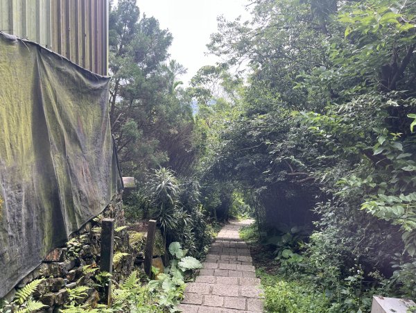 [跟著2025雙北世壯運探索雙北市-6/21] 2025_0614 文化排擊徑（文化大學－天母古道）2814409