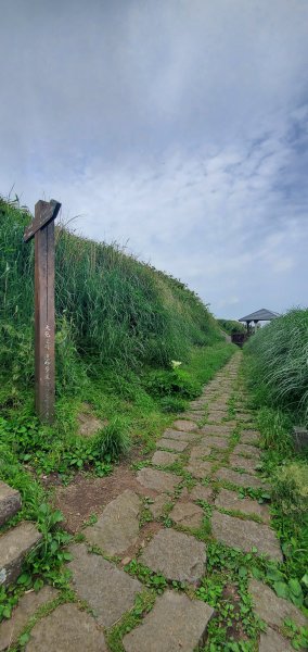 2024-05-04大屯主峰步道2496276