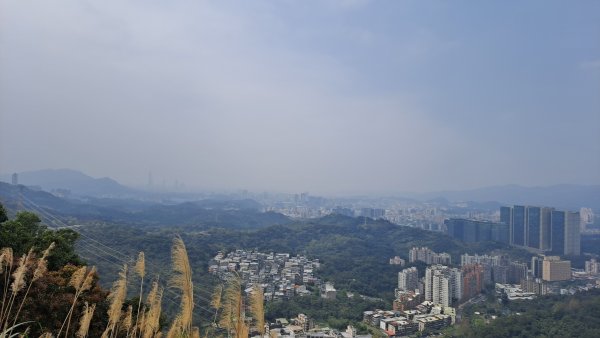 20240308汐止大尖山步道-四分尾山-耳空龜山2448613