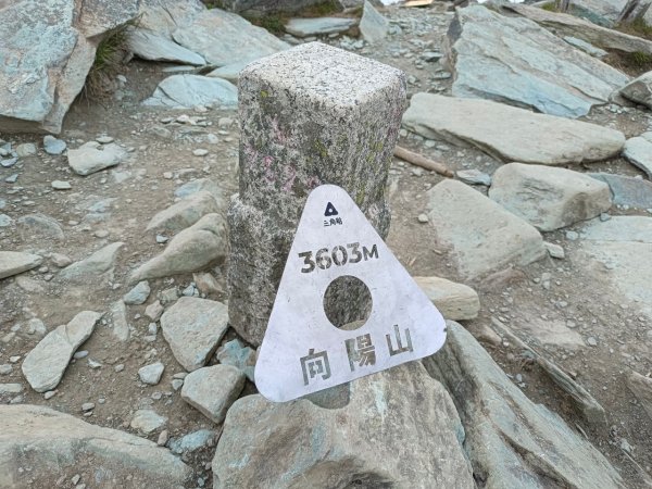 20220625台東海端向陽山、向陽山北峰、三叉山、嘉明湖1745719
