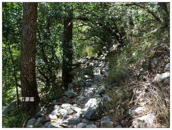 東卯山、東卯山西峰、東卯山西南峰 連走2932808