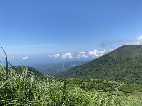 20240518大屯山主峰步道2508050