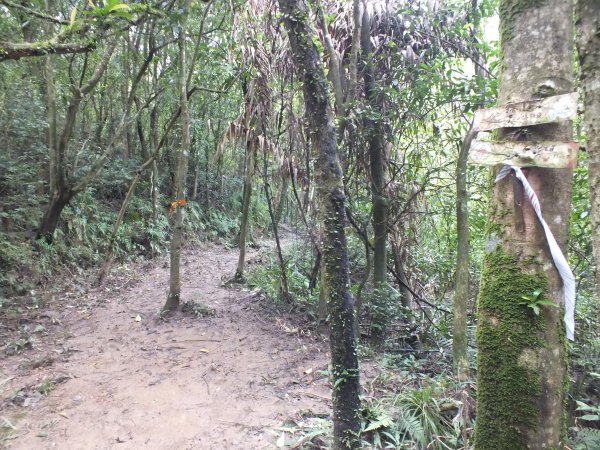 百二階古道+苕谷瀑布+逸仙山+泰和樓2734443