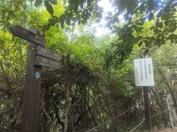 山海圳【大圳之路：第二段鳥山嶺水我古道 ⮕東3124353