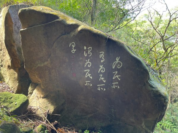 帕米爾公園1887082